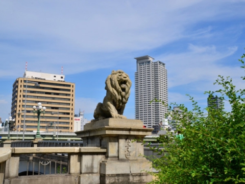 ライオンの橋